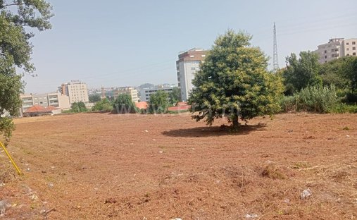 Land in Oliveira do Douro, Porto District, Portugal 1