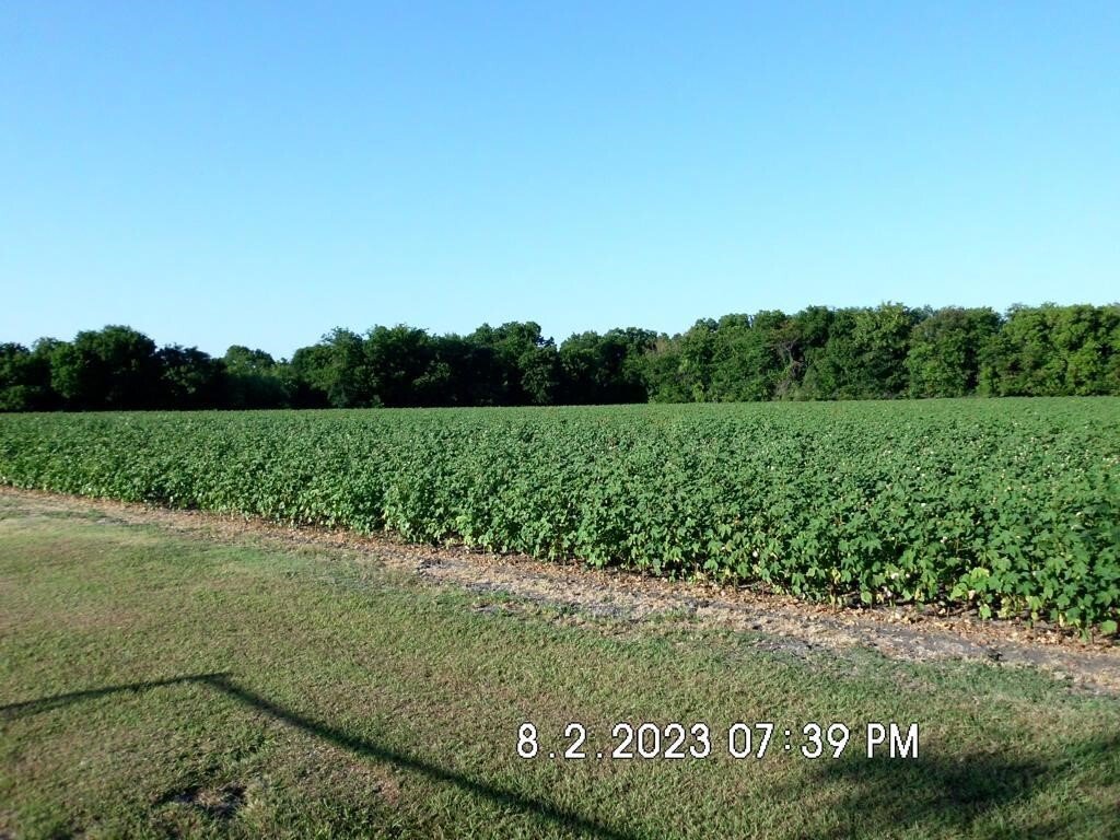 Terrain à Malone, Texas, États-Unis 2 - 15867009