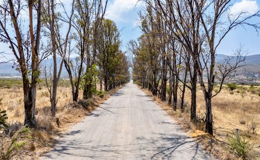 Land in Rancho Nuevo Villa de Guadalupe, Guanajuato, Mexico 1