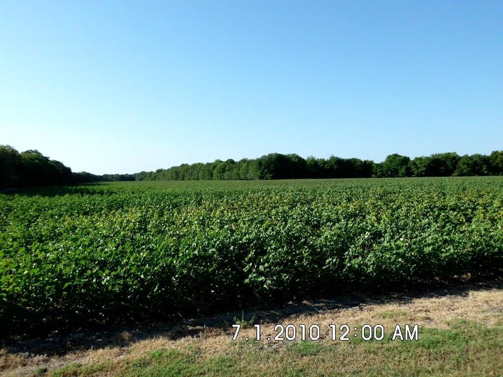 Terrain à Malone, Texas, États-Unis 5 - 15867009