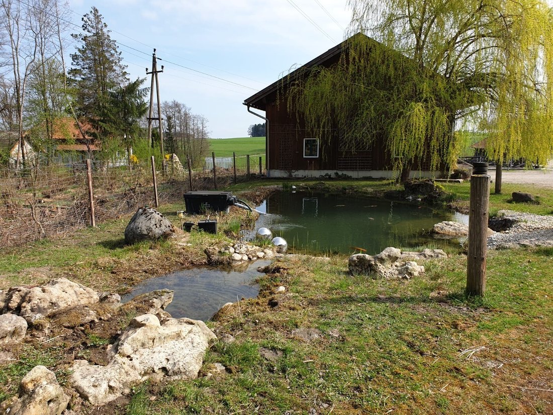 Farm Ranch in Mattighofen, Upper Austria, Austria 4 - 15868240
