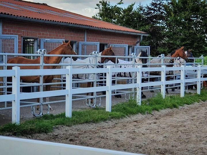 Farm Ranch in Westerstede, Lower Saxony, Germany 3 - 15868253