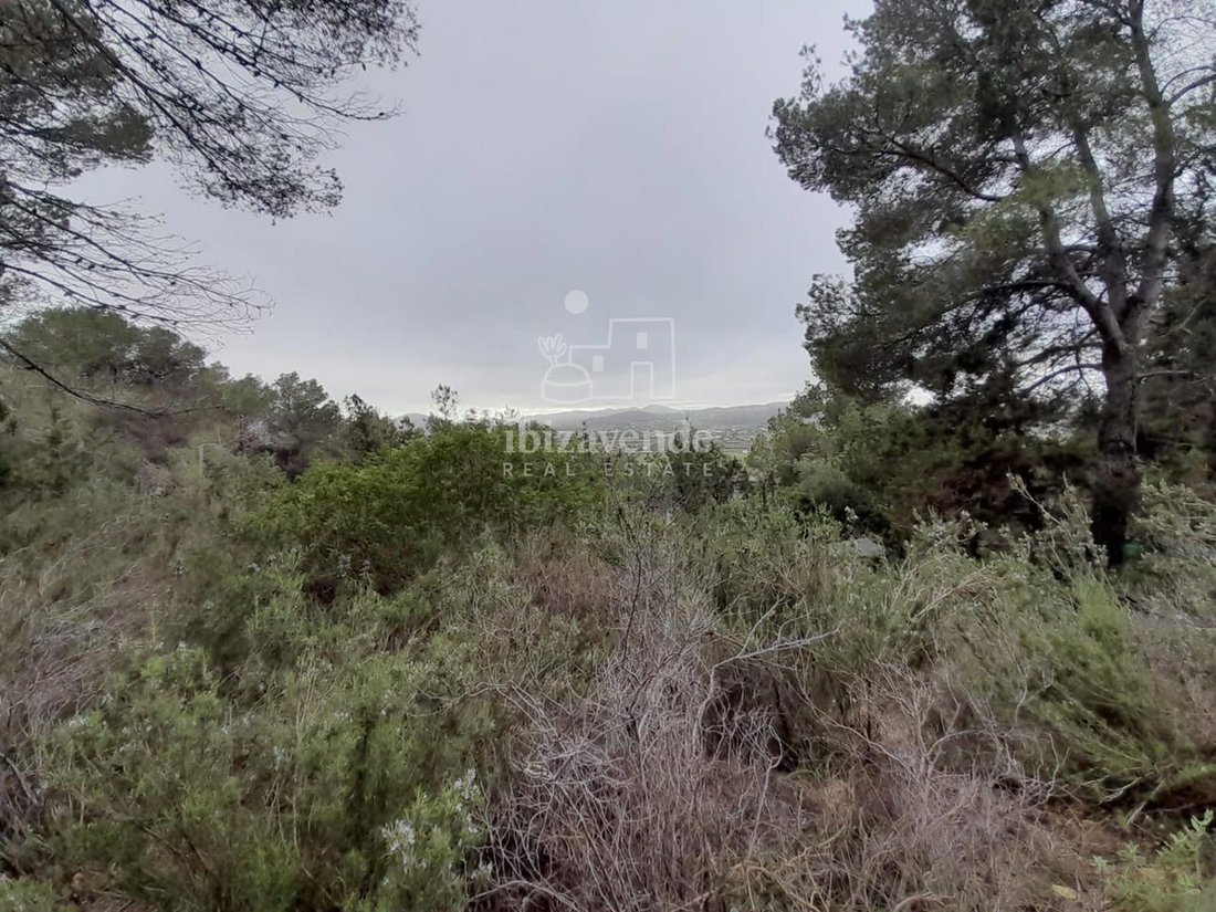 House in Santa Eularia des Riu, Balearic Islands, Spain 3 - 15870571