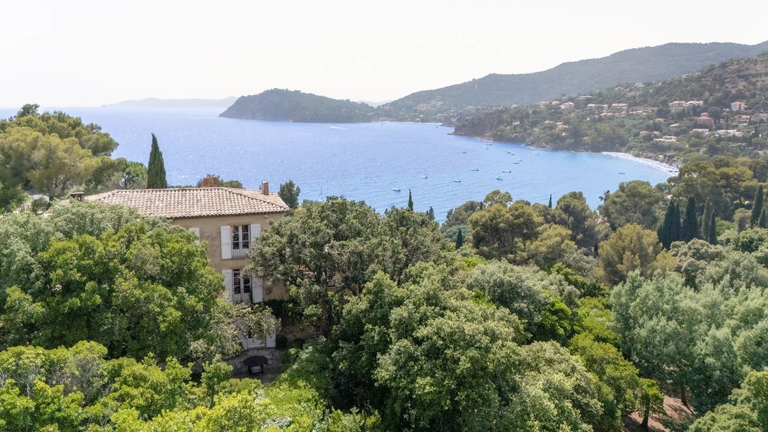 Villa in Rayol-Canadel-sur-Mer, Provence-Alpes-Côte d'Azur, France 2 - 15870117