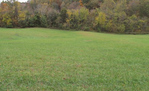 Land in Johnson City, Tennessee, United States 1