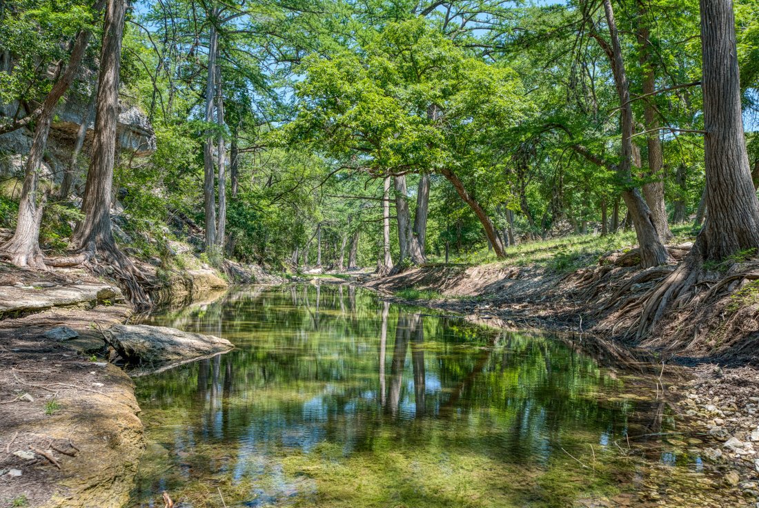 Corps de ferme à Batesville, Texas, États-Unis 1 - 15868385