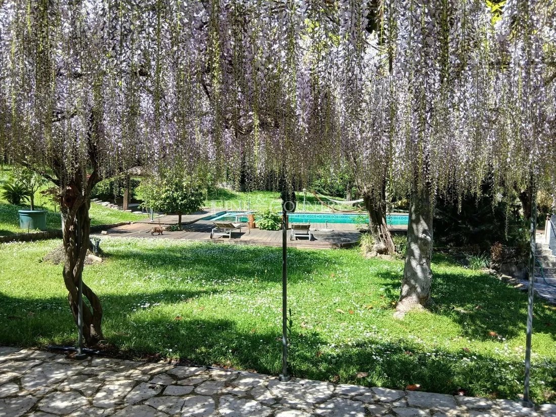 Villa in Opio, Provence-Alpes-Côte d'Azur, France 4 - 15870063