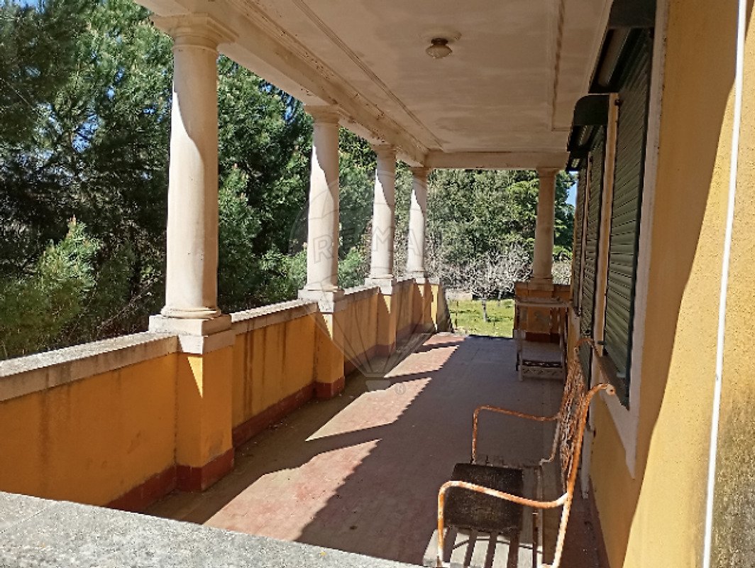 Finca in Arrifana, Coimbra District, Portugal 3 - 15870947