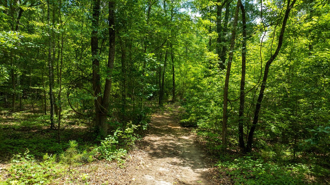 Land in Chattahoochee Hills, Georgia, United States 1 - 15873224