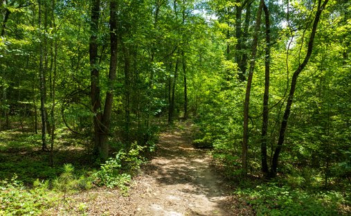 Land in Chattahoochee Hills, Georgia, United States 1