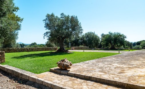 Azienda agricola a Muro, Isole Baleari, Spagna 1