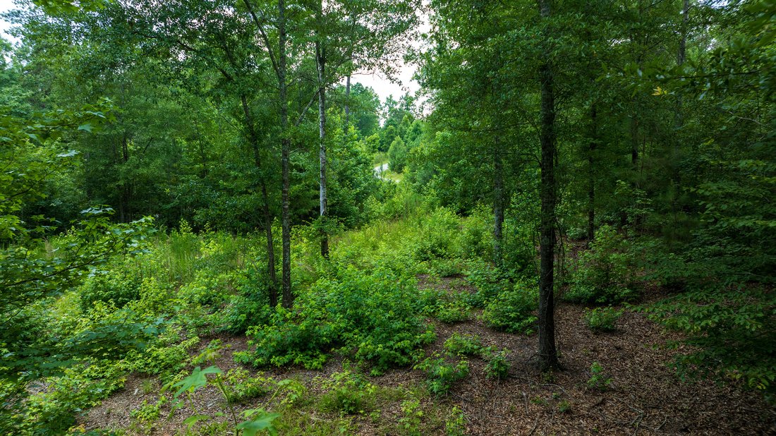 Land in Chattahoochee Hills, Georgia, United States 5 - 15873224