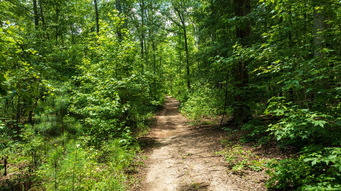 Land in Chattahoochee Hills, Georgia, United States 2 - 15873224