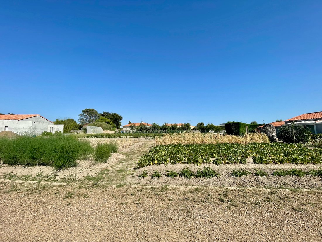 Land in Les Sables-d'Olonne, Pays de la Loire, France 2 - 15874703