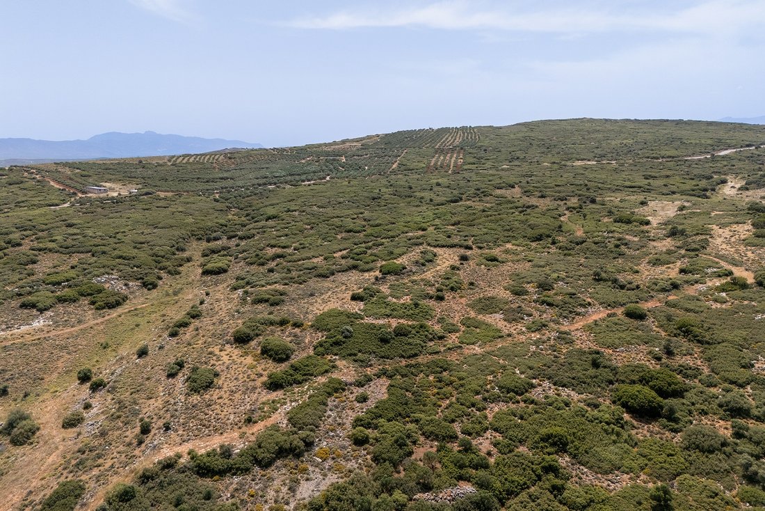 Land in 2nd Community of Heraklion - Eastern, Heraklion, Greece 4 - 15879937