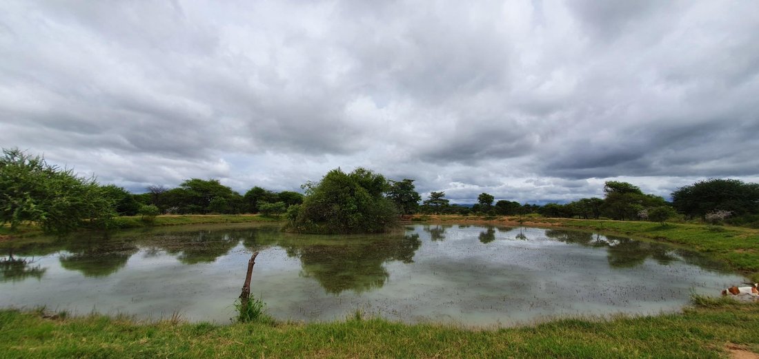 Farm Ranch in Mookgopong, Limpopo, South Africa 3 - 15879167