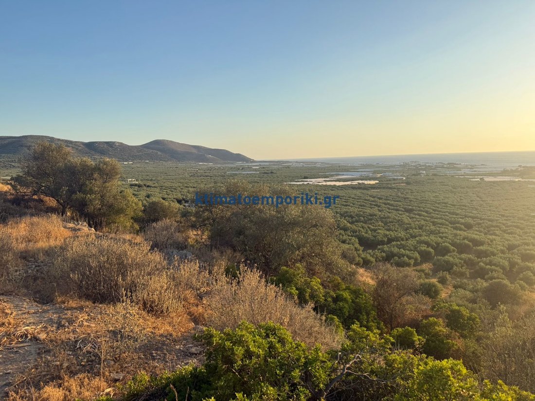 Land in Kissamos, Greece 2 - 15876309