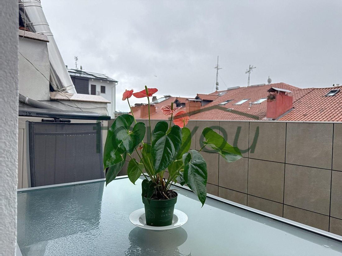 Apartment in Centro, Donostia-San Sebastian, Spain 2 - 15877226