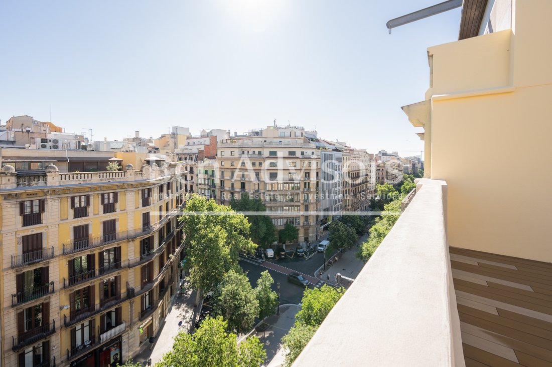 Apartment in Eixample, Barcelona, Spain 5 - 15876841