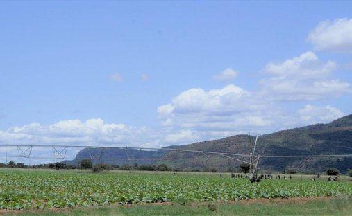 Farm Ranch in Mookgopong, Limpopo, South Africa 1