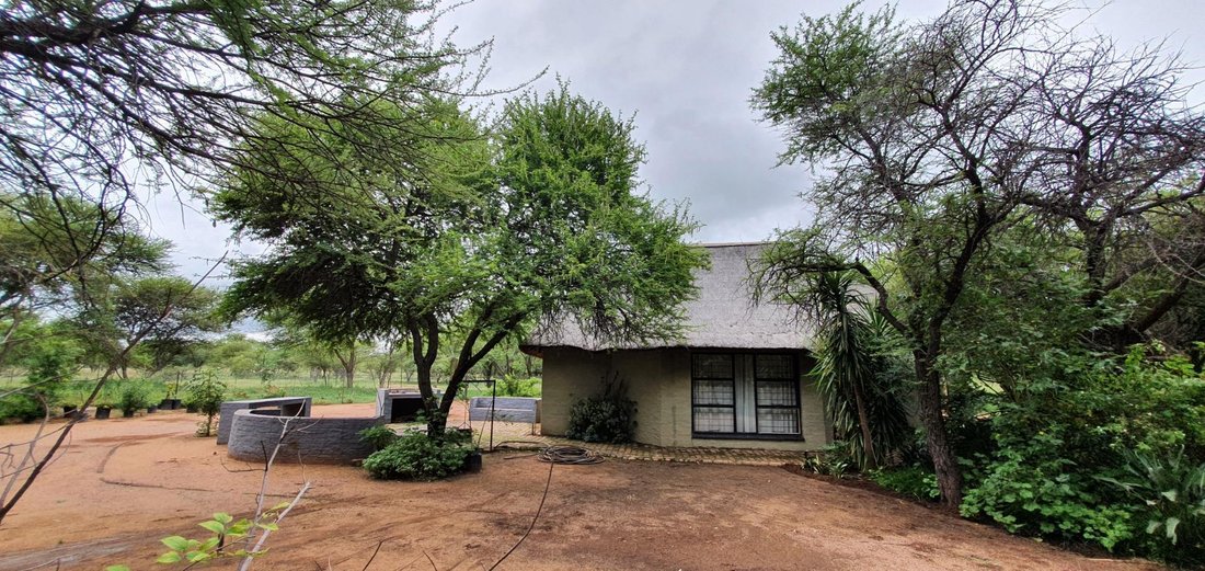 Farm Ranch in Mookgopong, Limpopo, South Africa 5 - 15879167