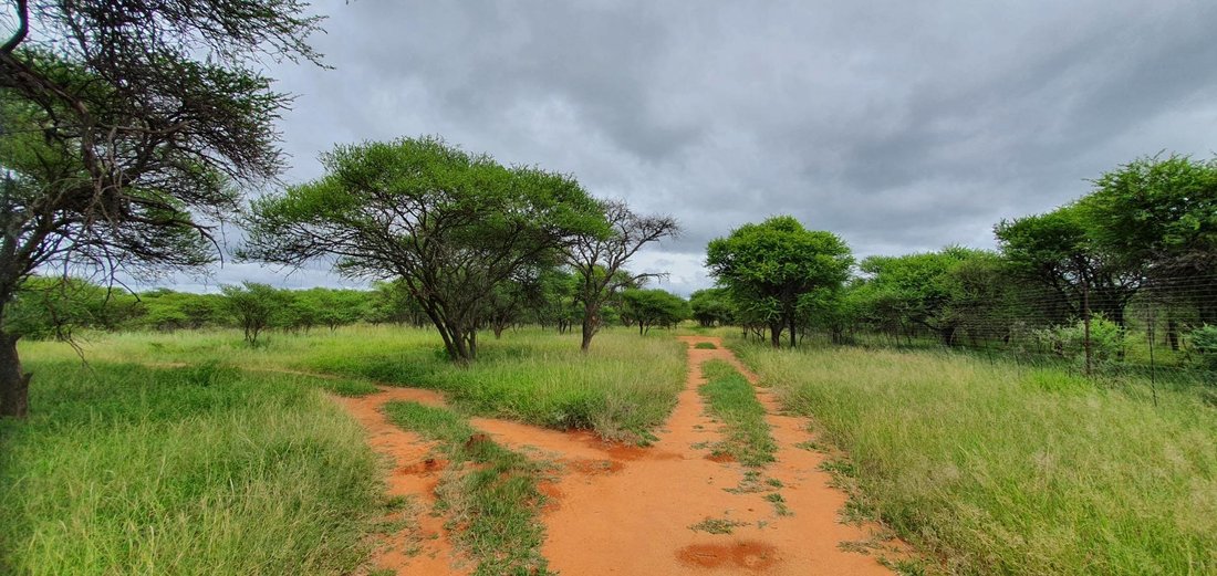 Farm Ranch in Mookgopong, Limpopo, South Africa 1 - 15879167