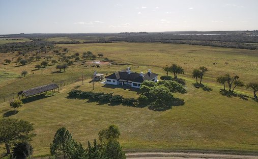 Azienda agricola a Los Arrayanes, Dipartimento di Río Negro, Uruguay 1