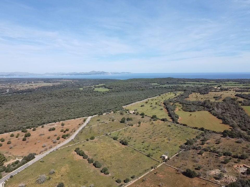 Land in Petra, Balearic Islands, Spain 1 - 15880701