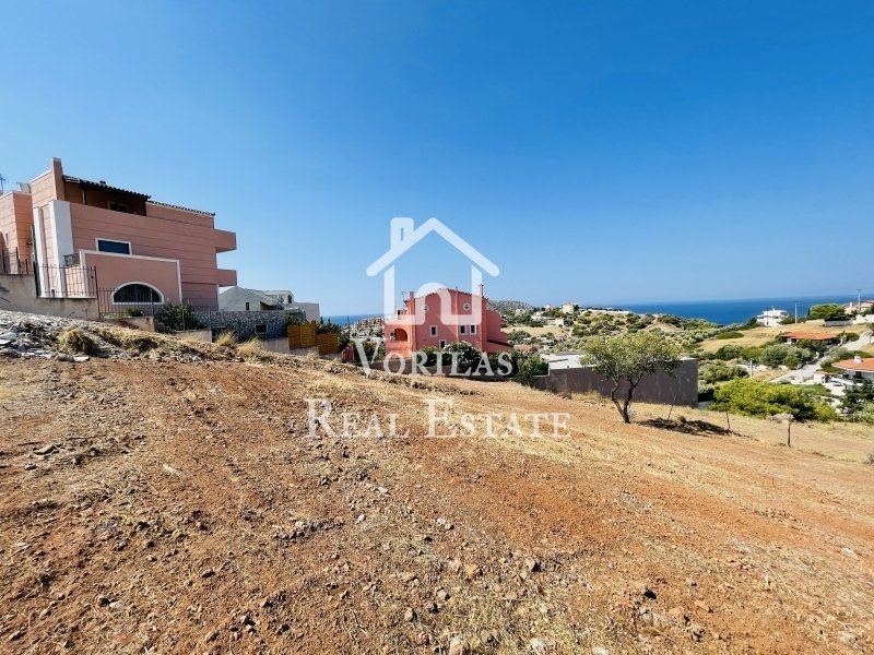 Land in Anavissos, Attica, Greece 1 - 15875677