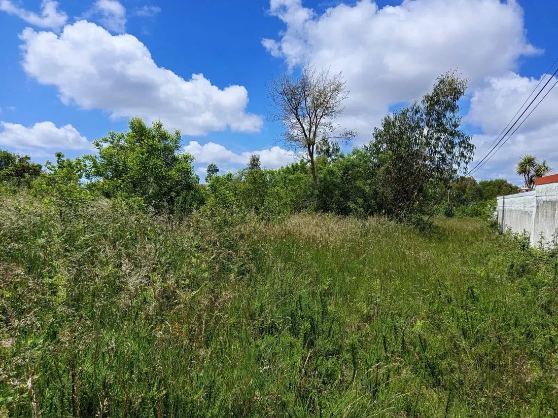 Land in Santa Maria da Feira, Aveiro District, Portugal 4 - 15877464