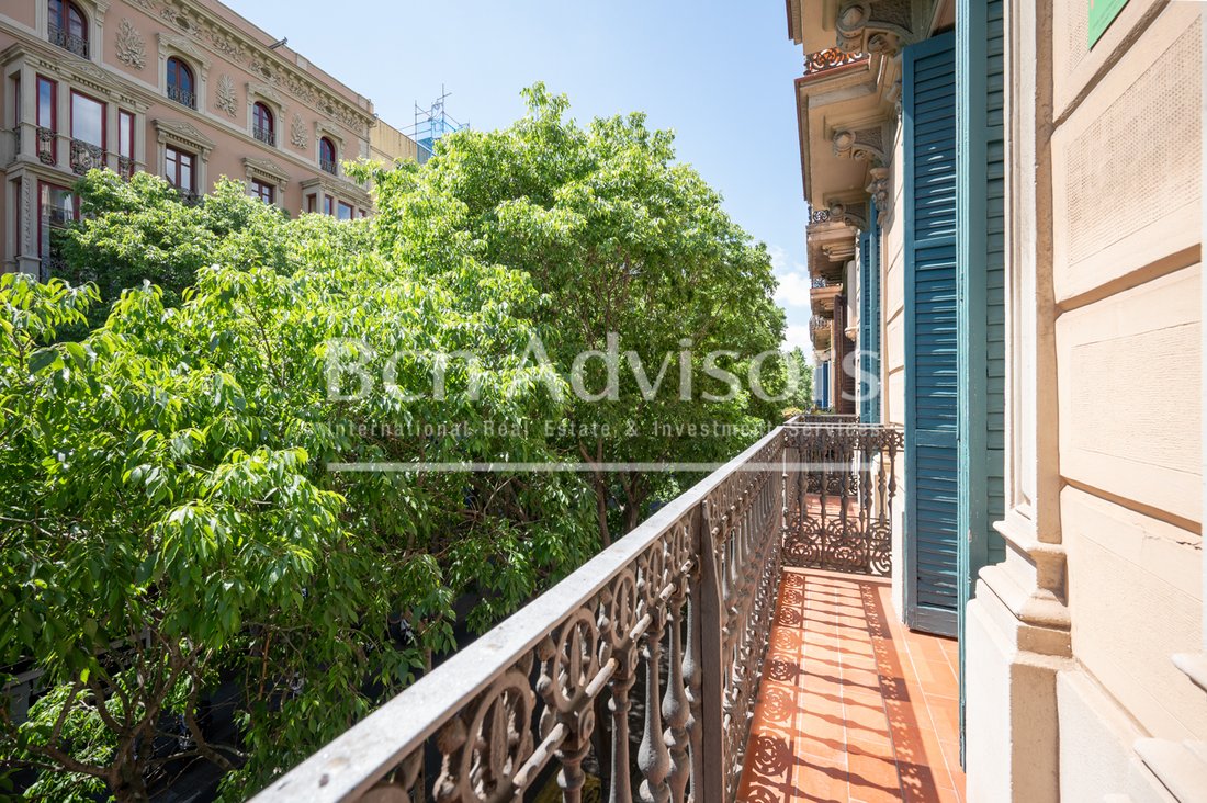 Apartment in Eixample, Barcelona, Spain 4 - 15876756