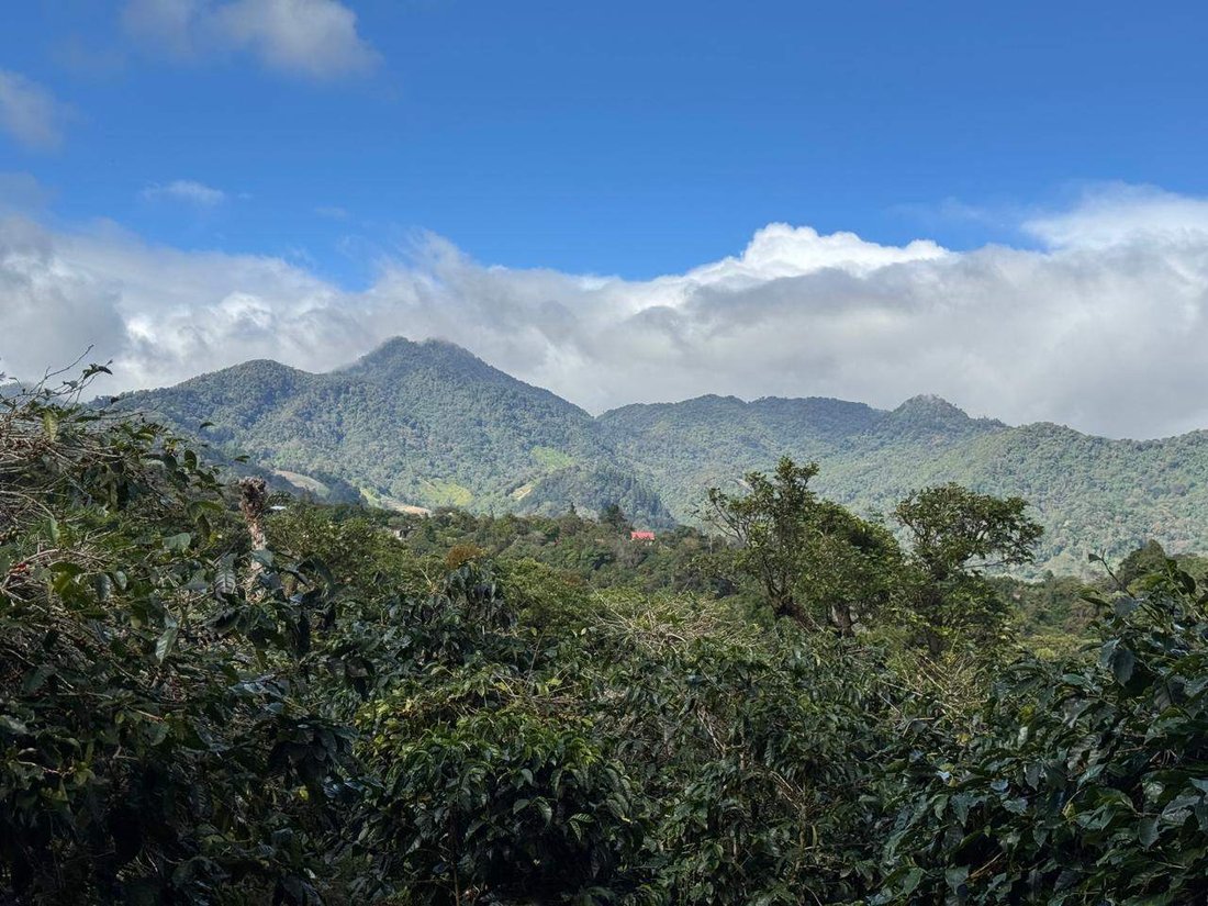 Land in Los Naranjos, Chiriquí Province, Panama 1 - 15877882