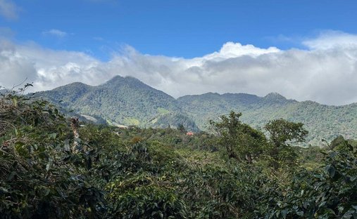 Terrain à Los Naranjos, Chiriquí, Panama 1