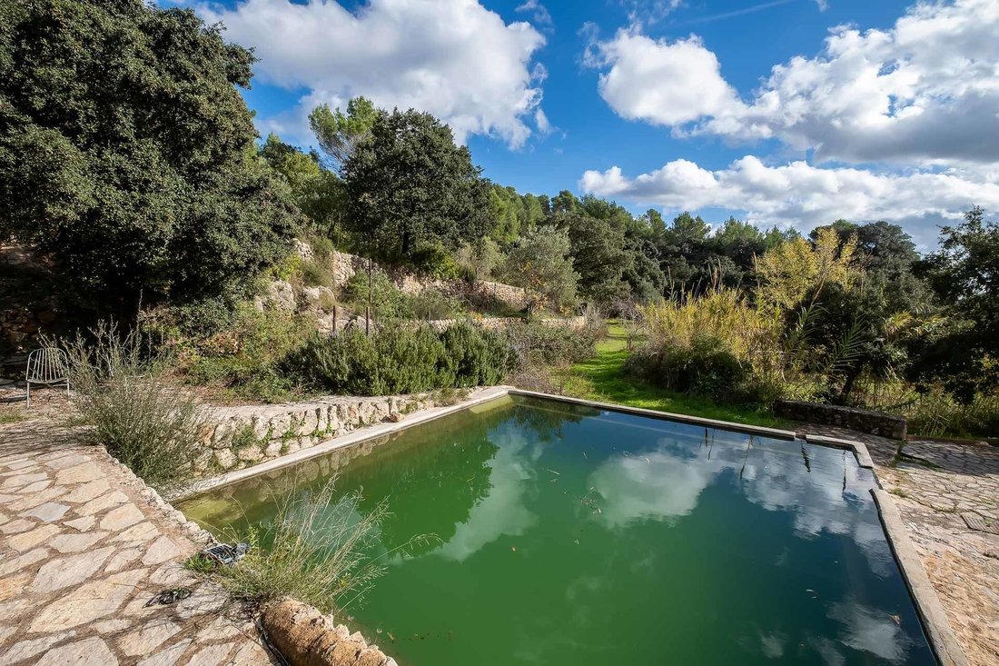 Finca in Esporles, Balearic Islands, Spain 4 - 12446367