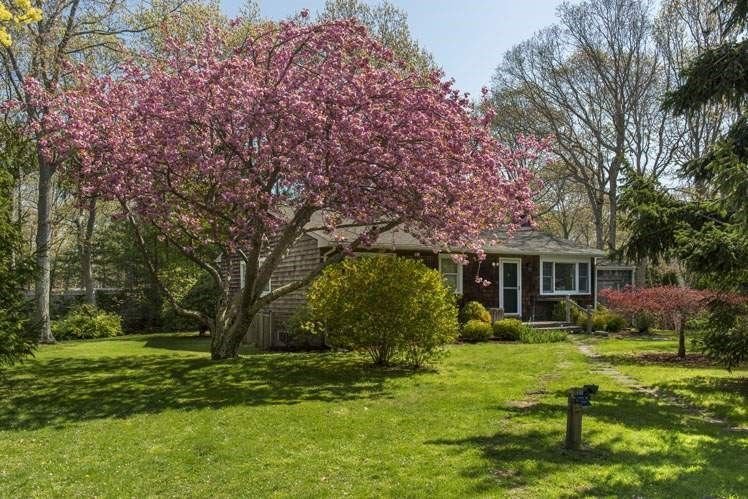 Springs, New York, United States 2 - 15879111