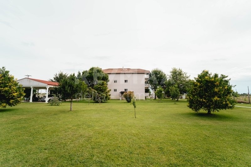 Katerini, Macedonia and Thrace, Greece 2 - 15875362