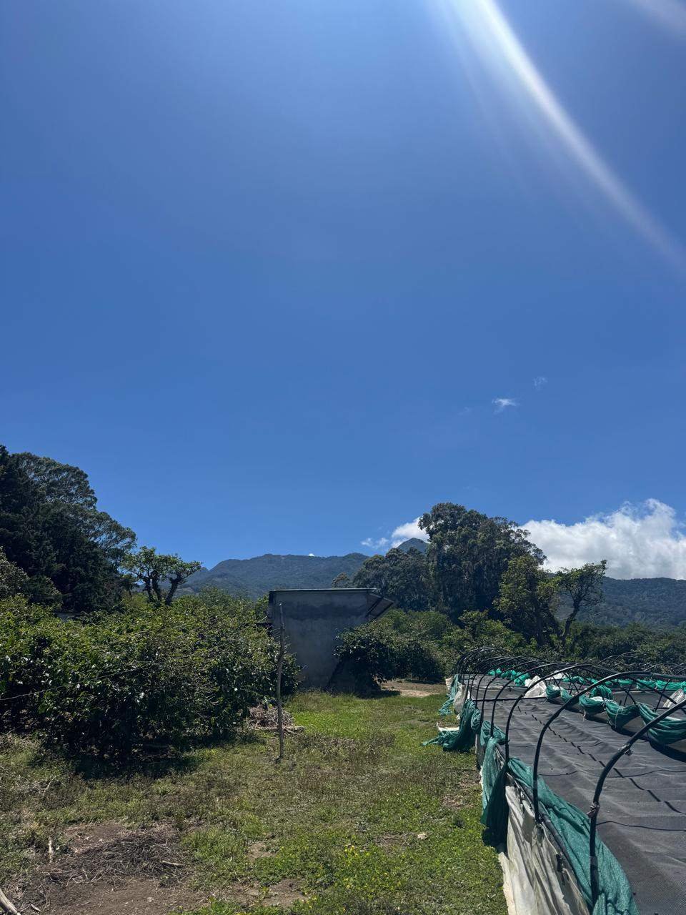 Land in Los Naranjos, Chiriquí Province, Panama 5 - 15877882