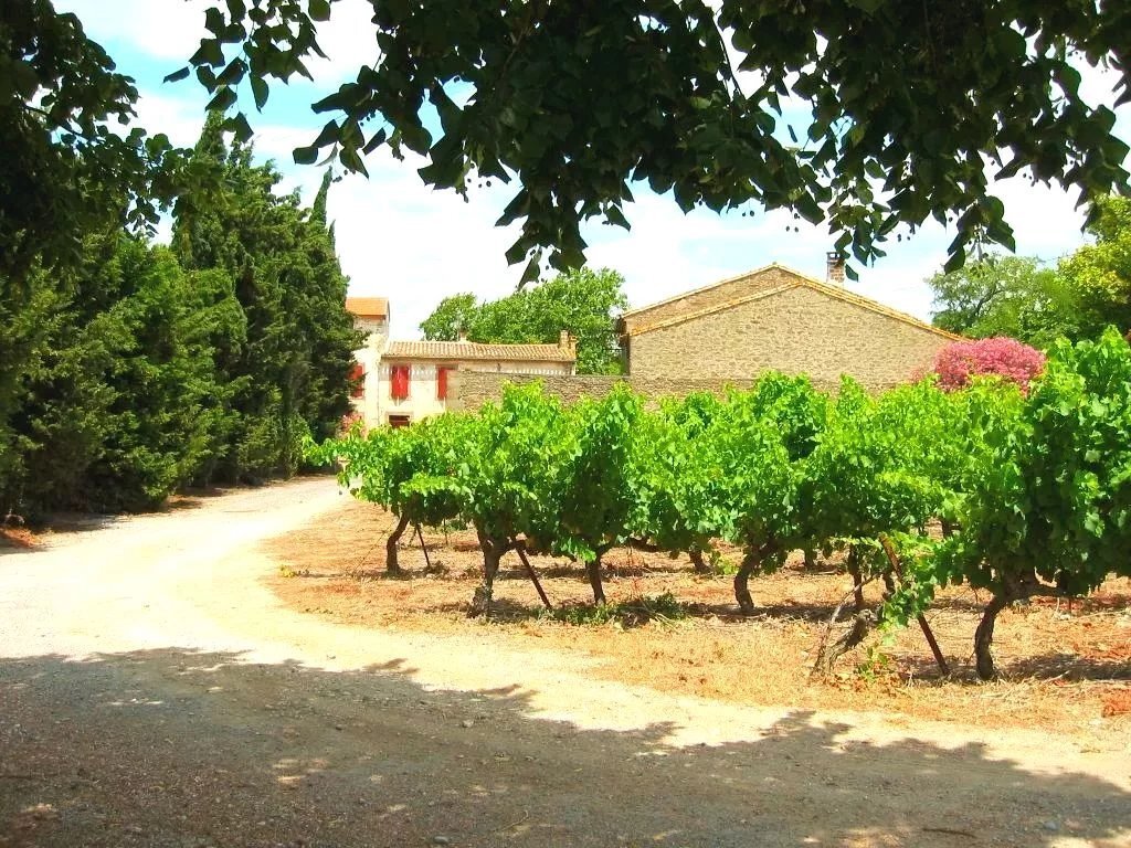 House in Douzens, Occitania, France 3 - 15675987