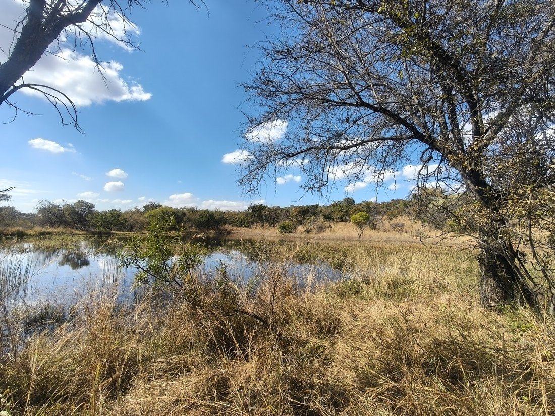 Farm Ranch in Swartruggens, North West, South Africa 1 - 15879184