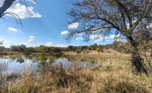 Farm Ranch in Swartruggens, North West, South Africa 1