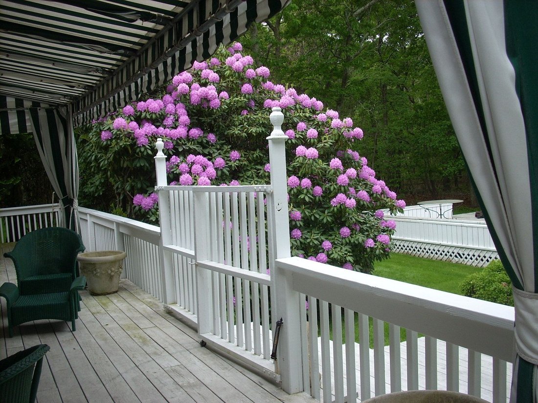 Springs, New York, United States 3 - 15879286
