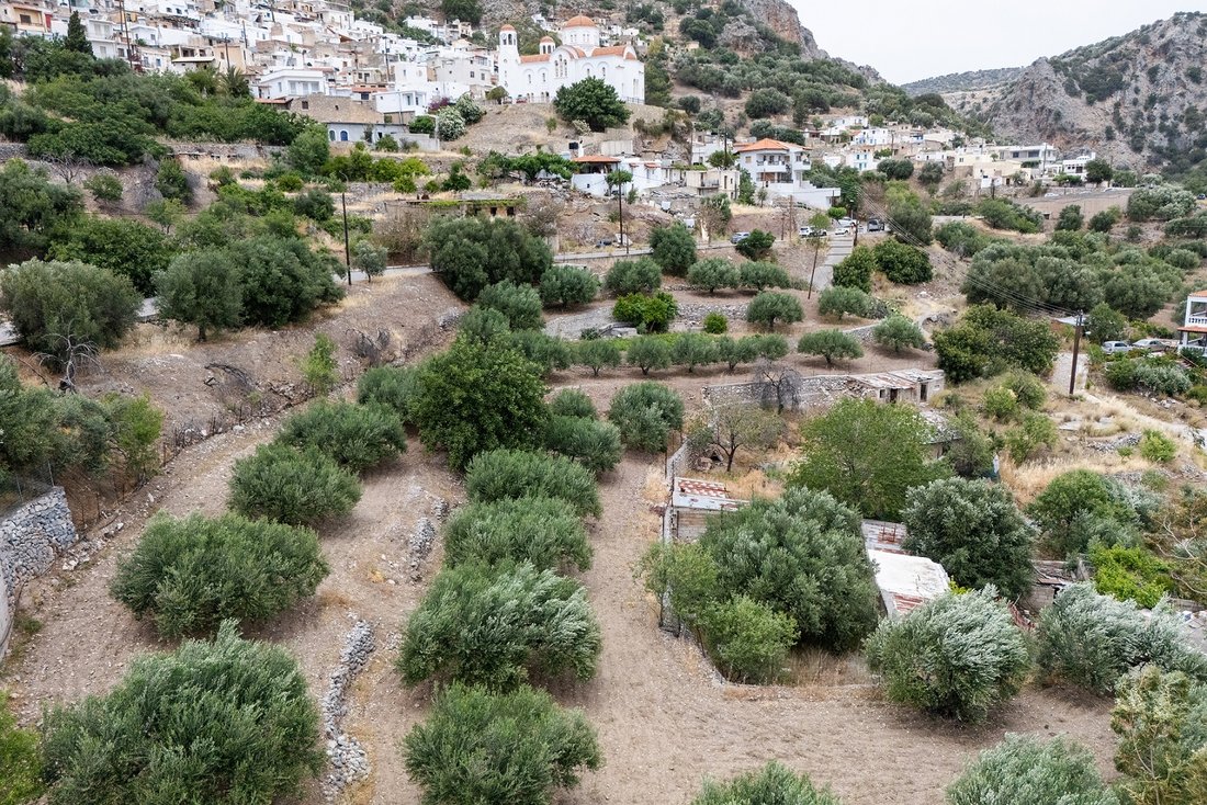 Land in Community of Meseleri, Ierapetra, Greece 1 - 15881476