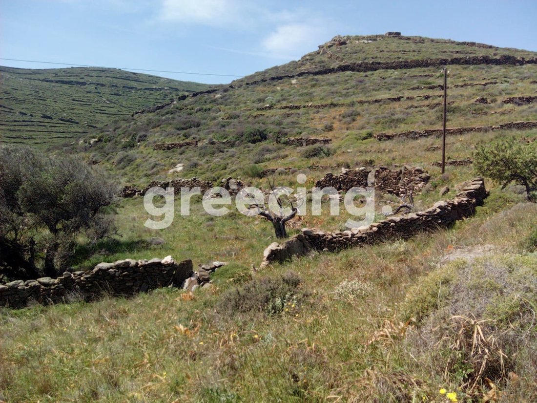 Land in Community of Dryopida, Aegean, Greece 2 - 15881168