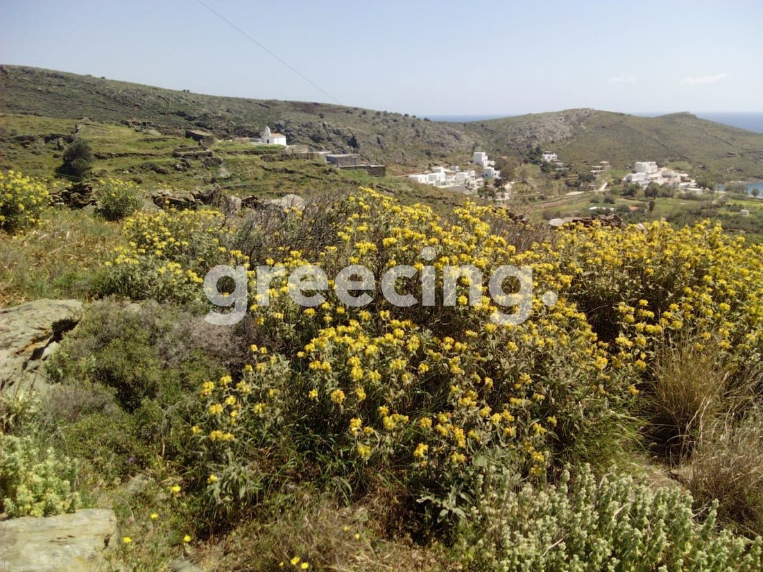 Land in Community of Dryopida, Aegean, Greece 5 - 15881168