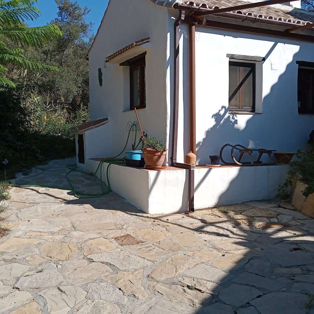 Finca in Casares, Andalusia, Spain 3 - 15881214