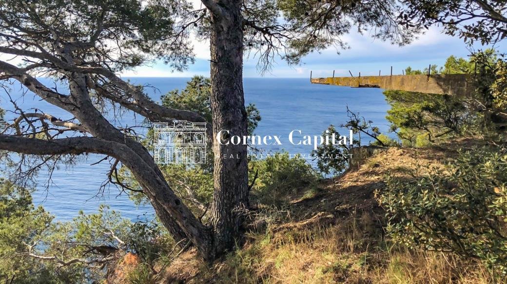 Land in Begur, Catalonia, Spain 4 - 15881599