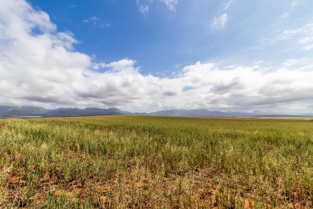 Farm Ranch in Albertinia, Western Cape, South Africa 2 - 15881680