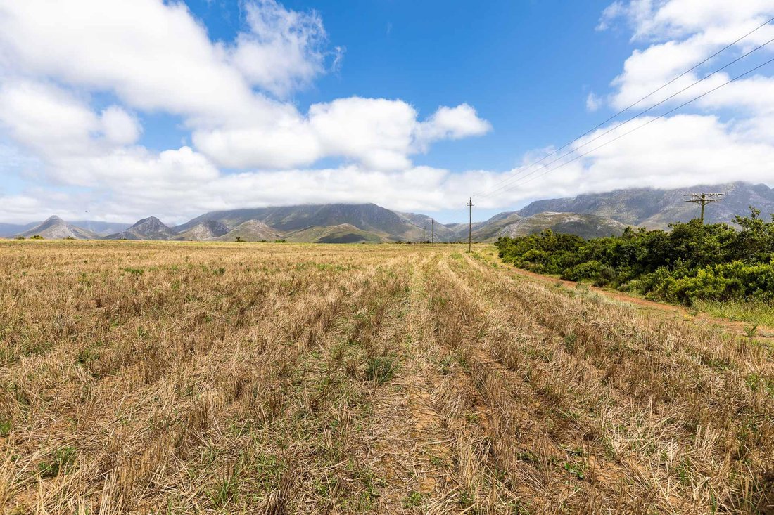 Farm Ranch in Albertinia, Western Cape, South Africa 2 - 15881681