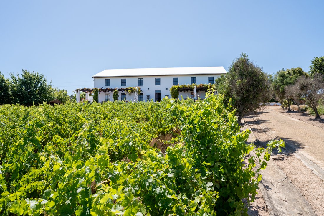 Farm Ranch in Brackenfell South, Cape Town, South Africa 2 - 15881784