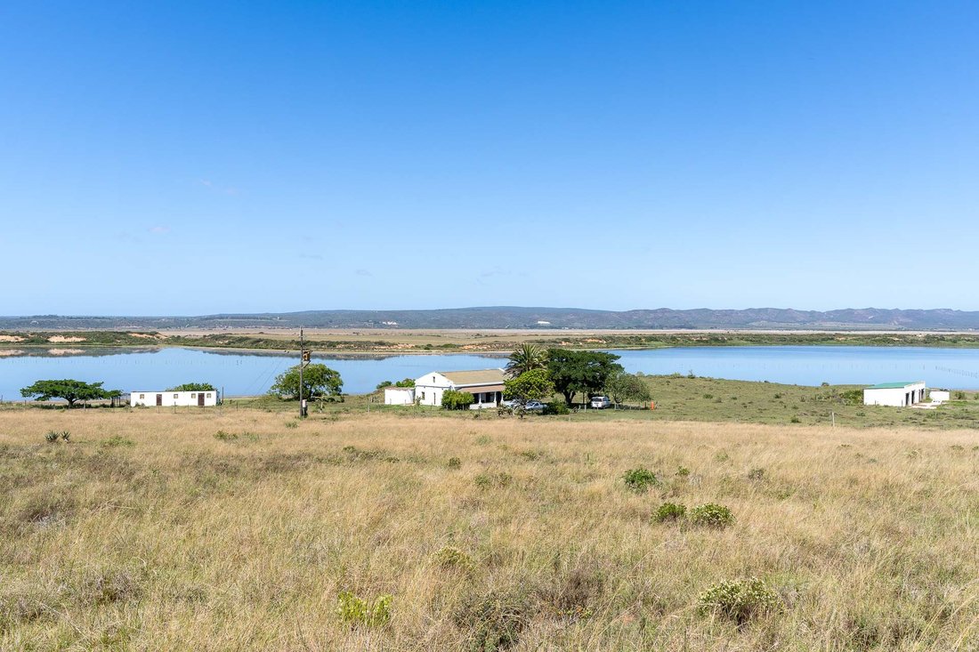 Farm Ranch in Mossel Bay Golf Estate, Western Cape, South Africa 3 - 15882149